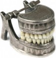 /album/pictures1/dental-model-vecabe-jpg/